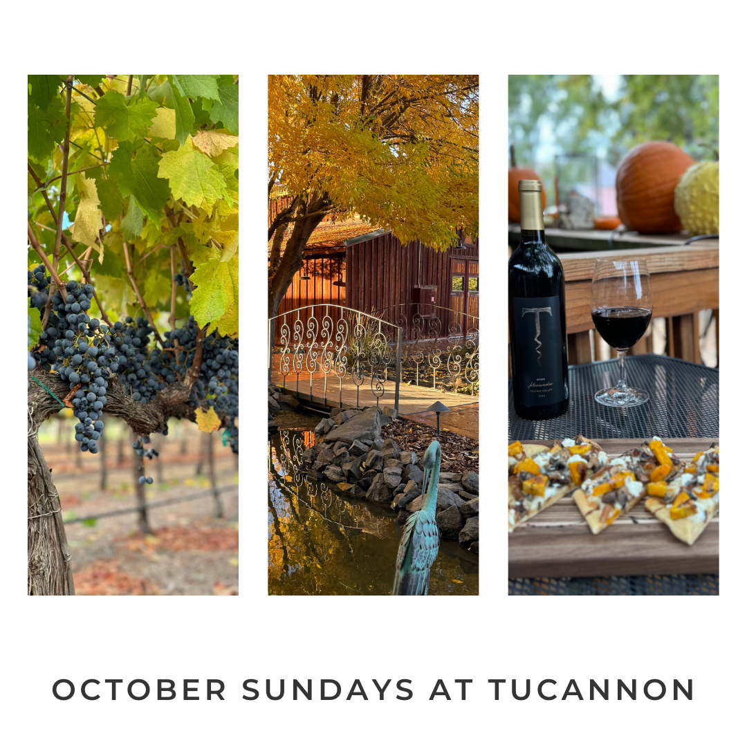 OCTOBER SUNDAYS AT TUCANNON