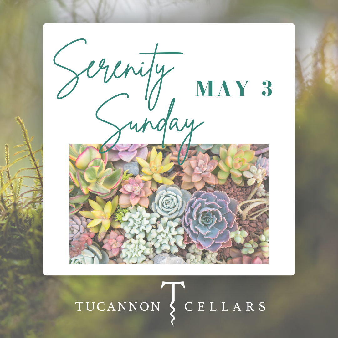 Serenity Sunday event with succulents image, May 3
