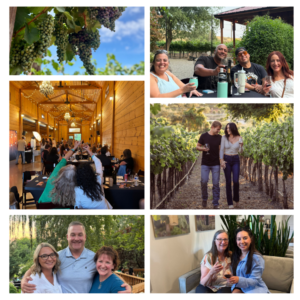 People enjoying wine at a vineyard event.