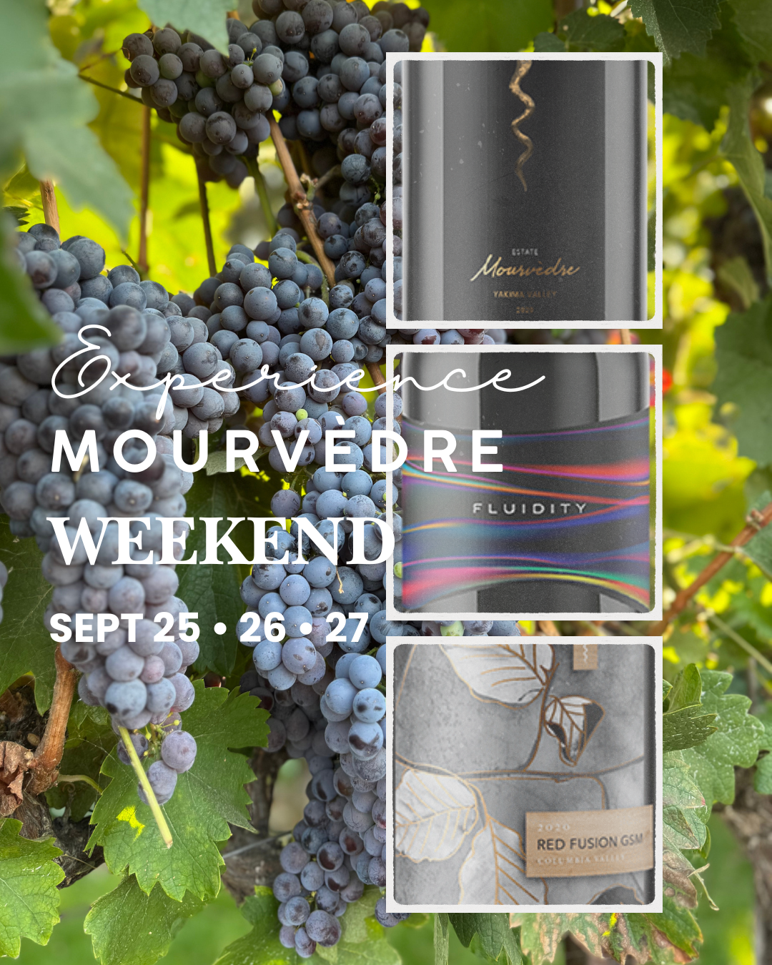 Experience Mourvedre Weekend